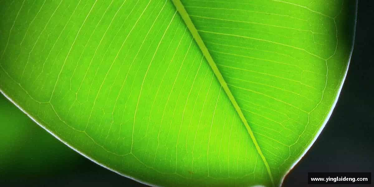 关于XK·星空(体育中国)